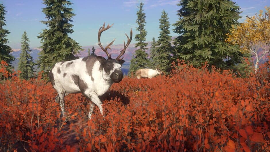 TheHunter: Call of the Wild - Yukon Valley screenshot 1