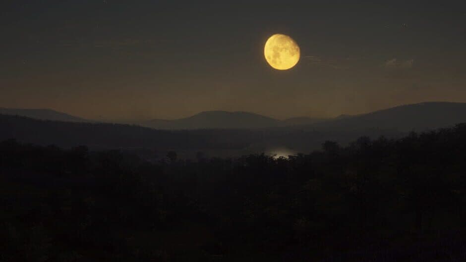 TheHunter: Call of the Wild - Parque Fernando screenshot 2