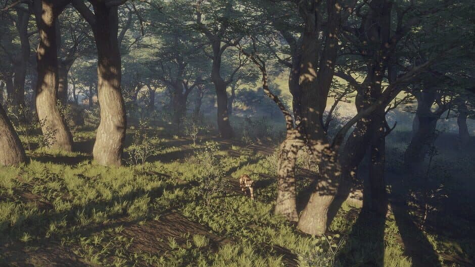 TheHunter: Call of the Wild - Parque Fernando screenshot 6