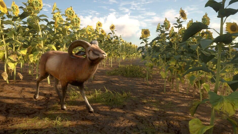 TheHunter: Call of the Wild - Cuatro Colinas Game Reserve screenshot 4