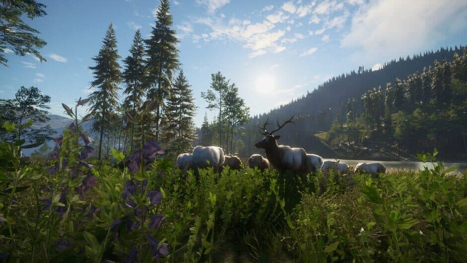 TheHunter: Call of the Wild - Silver Ridge Peaks screenshot 6