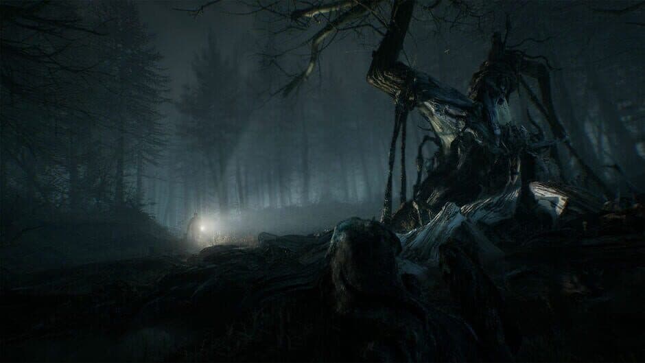 Blair Witch: Deluxe Edition screenshot 3