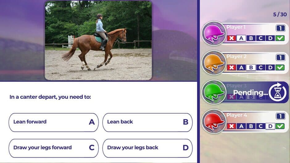 Equestrian Training screenshot 2