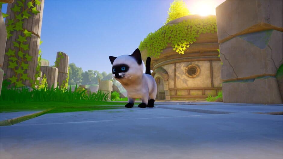 Cat Go! Ultimate Challenge screenshot 4