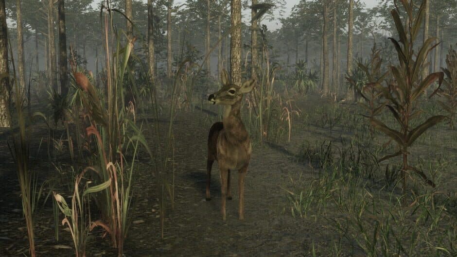 Pro Deer Hunting 2 screenshot 4