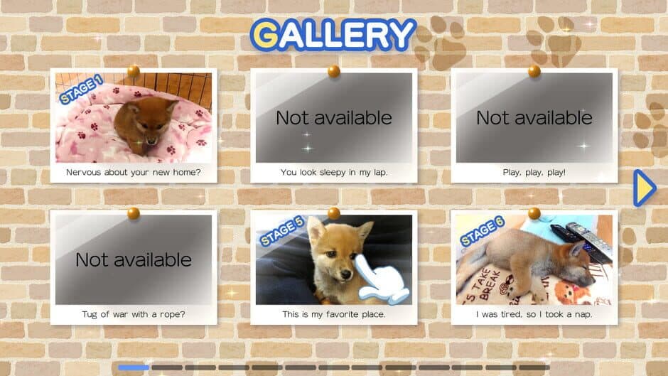 Shiba Mekuri screenshot 3