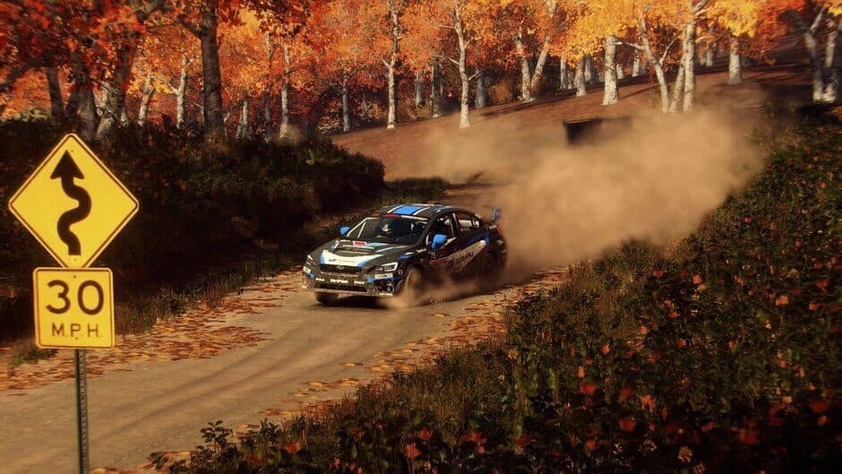 Dirt Rally 2.0: Game of the Year Edition screenshot 2