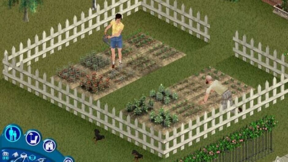 The Sims: Unleashed screenshot 5