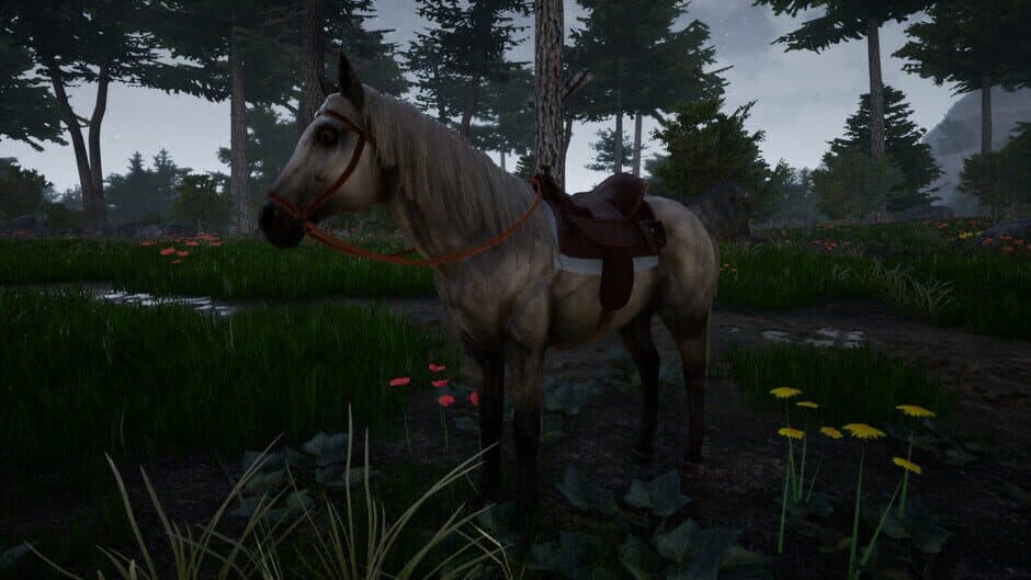 Horse Riding Deluxe 2 screenshot 3