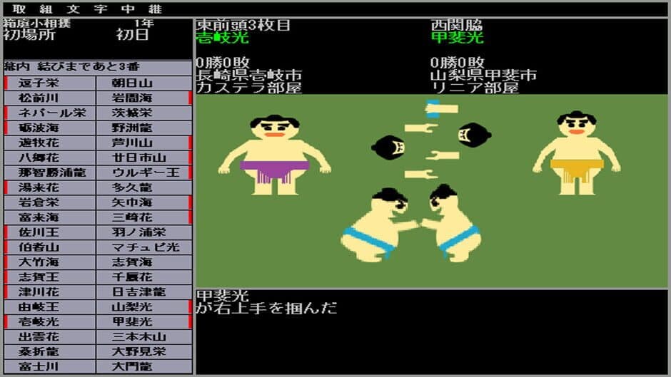 Hakoniwa Sumo screenshot 1