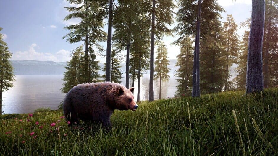 Hunting Simulator 2: Bear Hunter Edition screenshot 5
