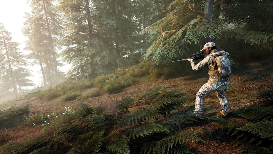 Hunting Simulator 2: Bear Hunter Edition screenshot 4