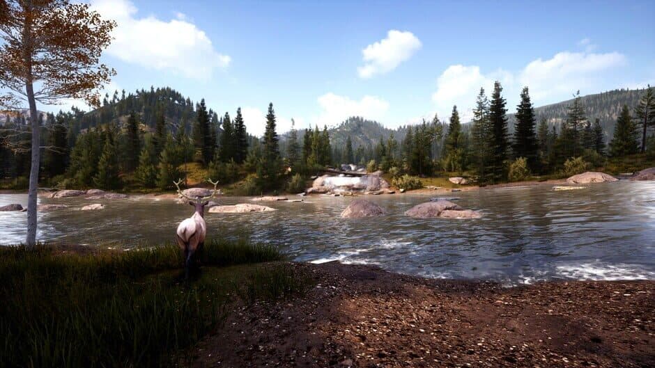 Hunting Simulator 2: Bear Hunter Edition screenshot 6