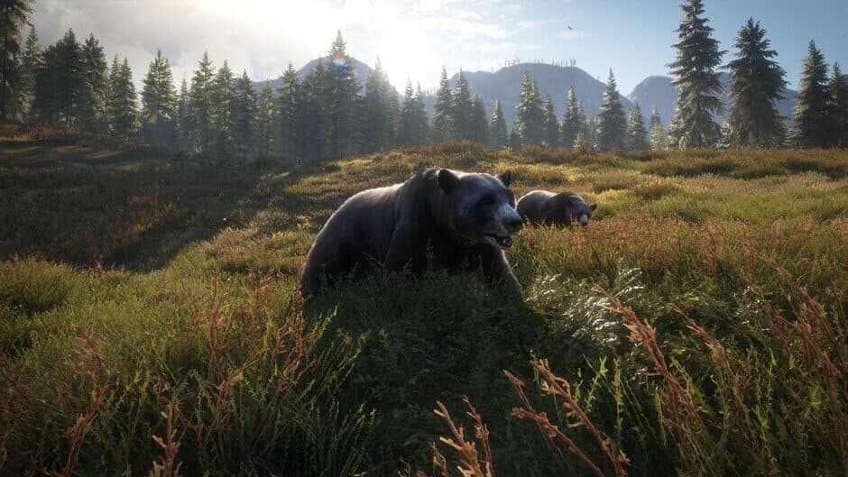 TheHunter: Call of the Wild - 2019 Edition screenshot 6