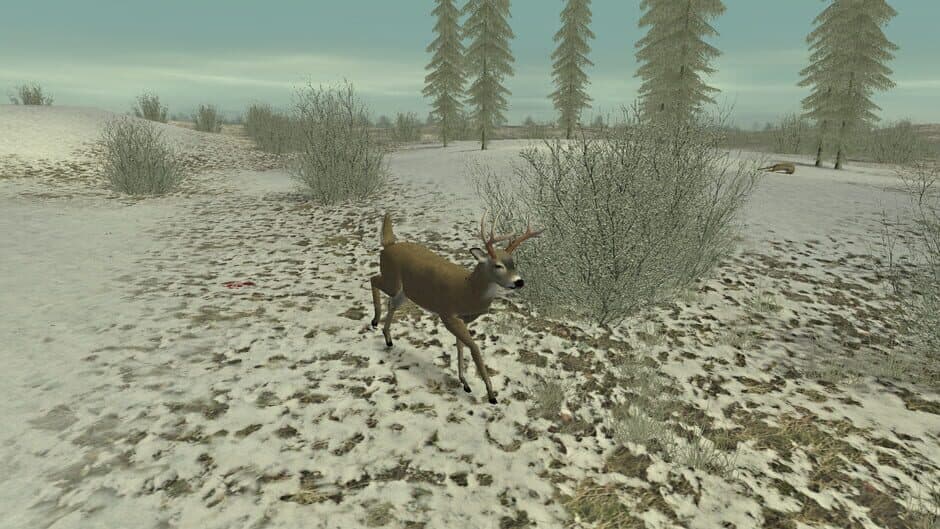 Hunting Unlimited 2 screenshot 5