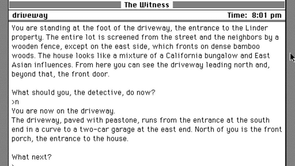 The Witness screenshot 2