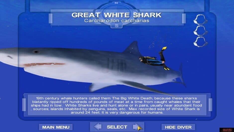Shark! Hunting the Great White screenshot 1