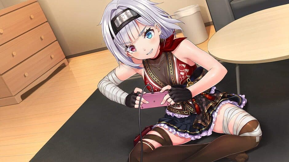 NinNinDays2 screenshot 1