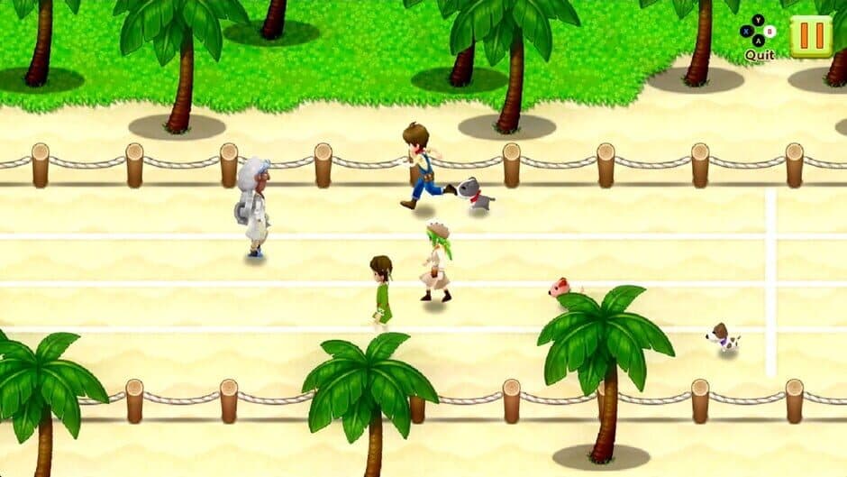 Harvest Moon: Light of Hope - Complete Special Edition screenshot 6