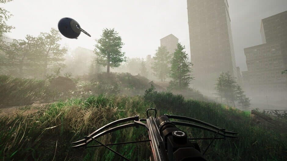 Remoteness screenshot 1