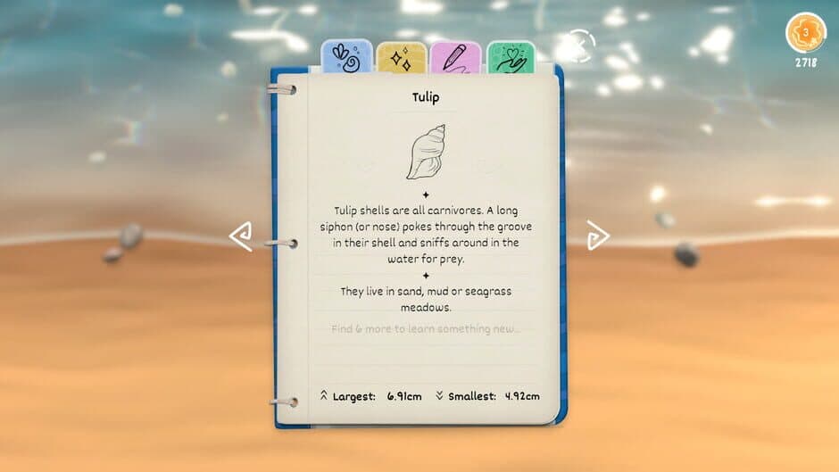 Seashell screenshot 2