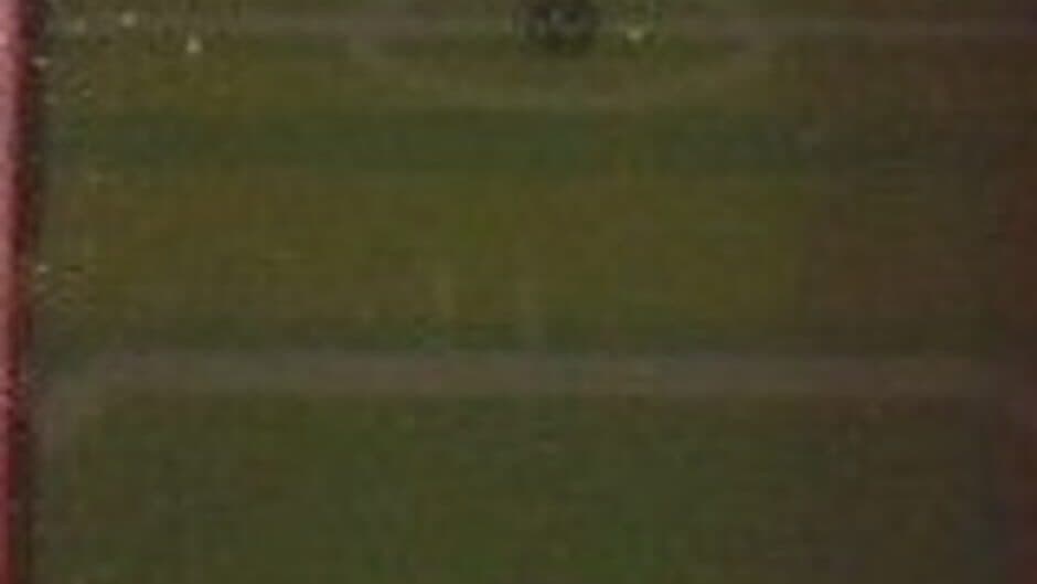 Knuckles Soccer screenshot 1