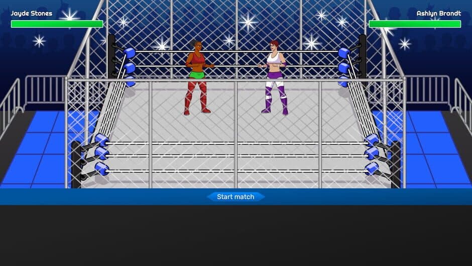 Championship Wrestling Promoter screenshot 5