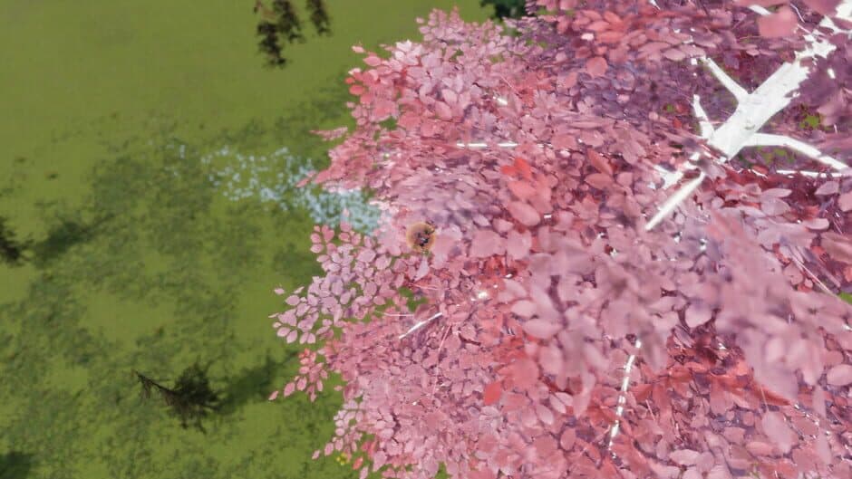 The Ball Flow: Nature and Light screenshot 2