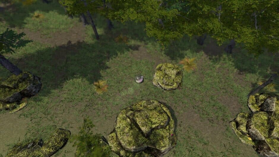 The Ball Flow: Nature and Light screenshot 4