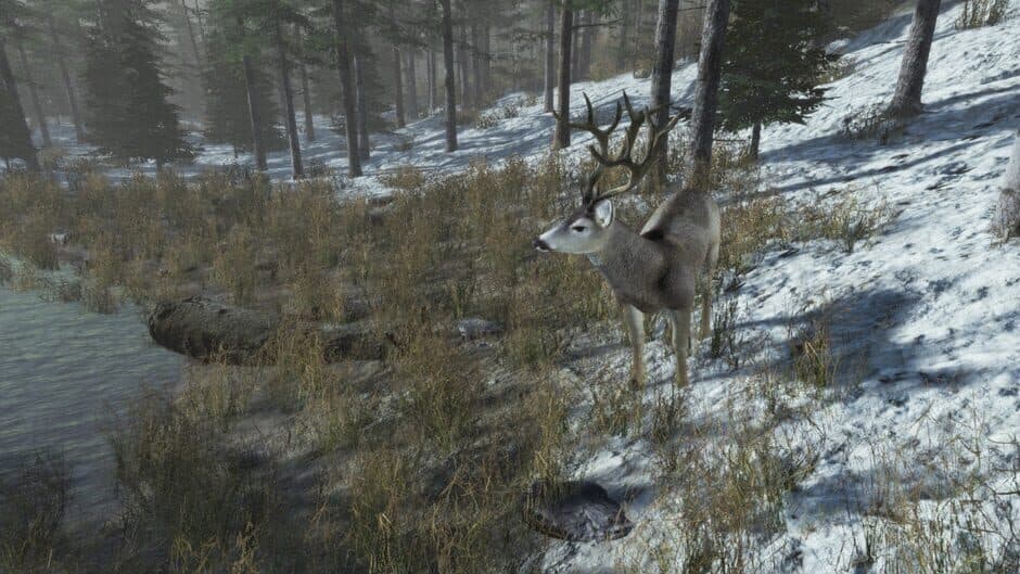 Pro Deer Hunting: Out West screenshot 5
