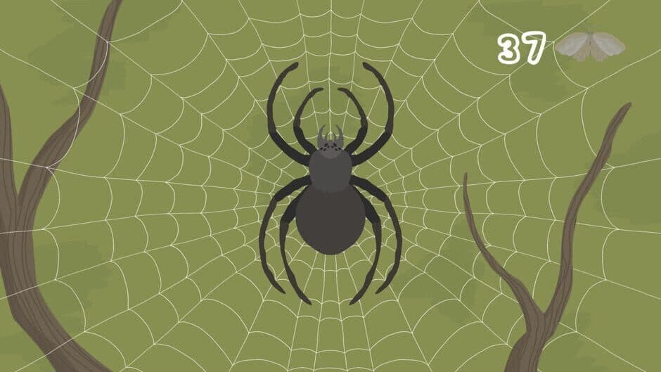 The Spidy D screenshot 2