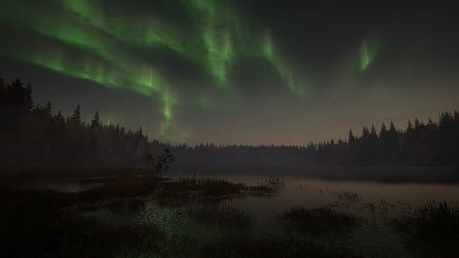 TheHunter: Call of the Wild - Revontuli Coast screenshot 5