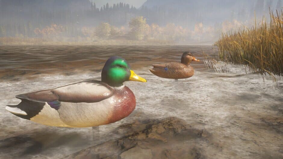 TheHunter: Call of the Wild - Duck and Cover Pack screenshot 4