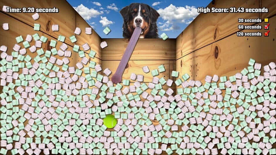 Salamander County Public Television screenshot 1