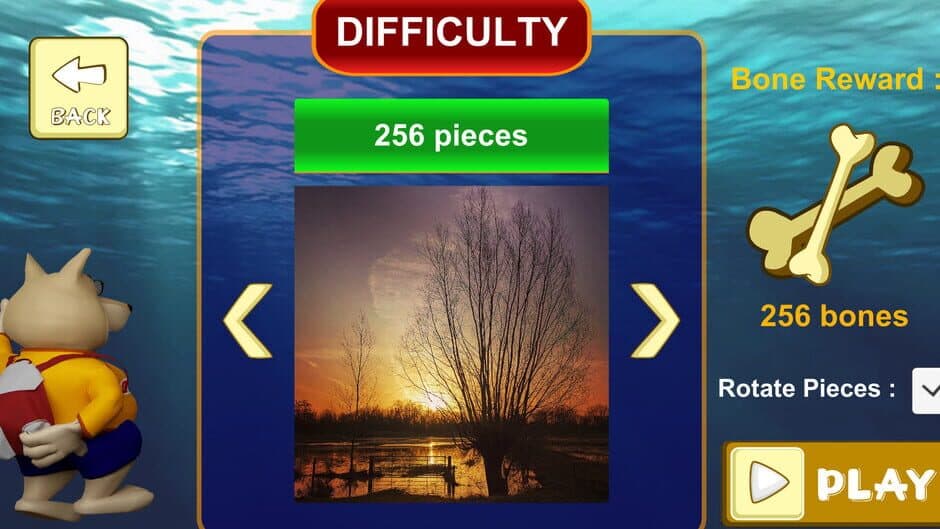 Jigsaw Puzzle: Belgium Through the Lens screenshot 5