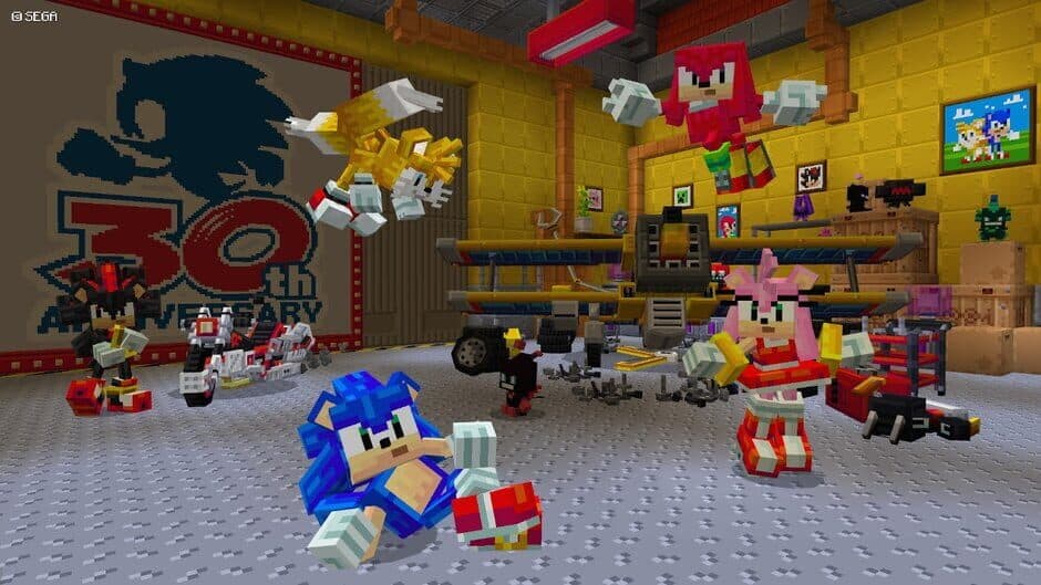 Minecraft: Sonic the Hedgehog screenshot 5