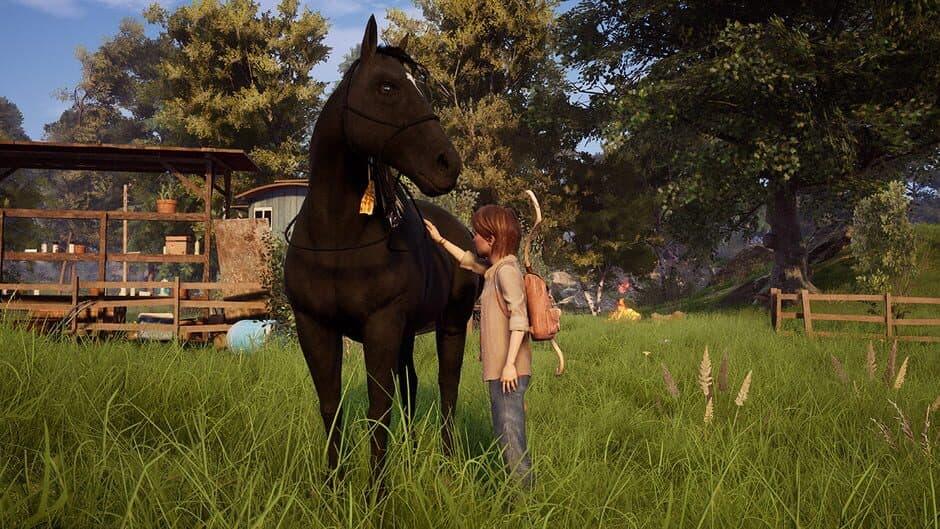 Windstorm: An Unexpected Arrival screenshot 5