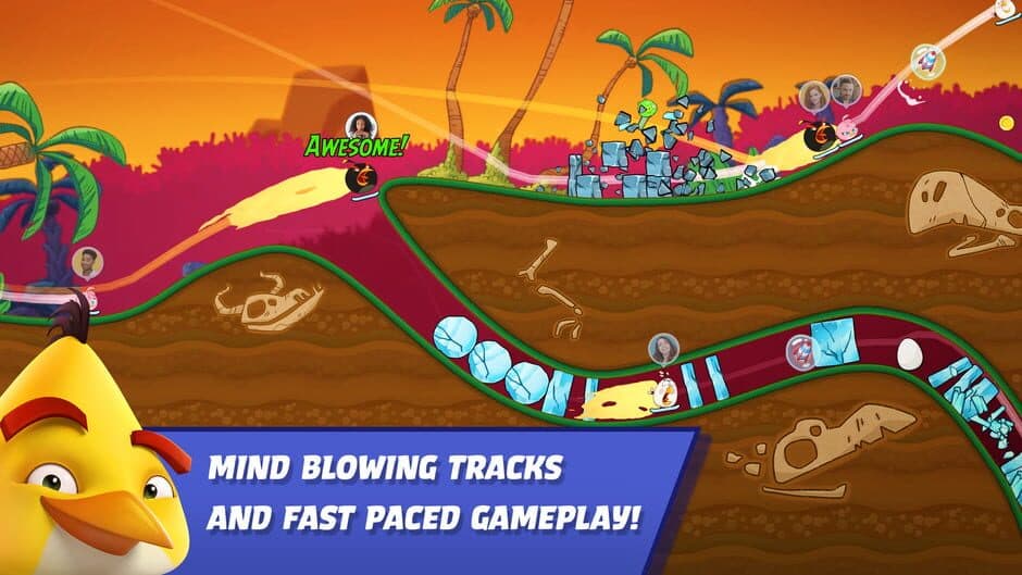 Angry Birds Racing screenshot 2
