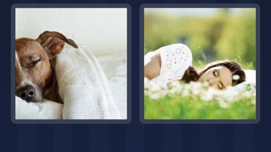 4 Pics 1 Word screenshot 4