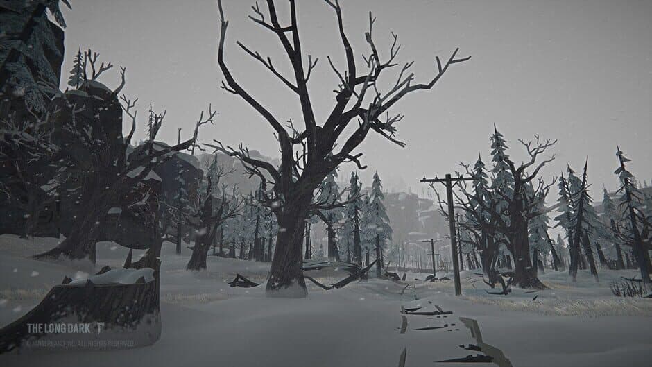 The Long Dark: Tales from the Far Territory screenshot 3
