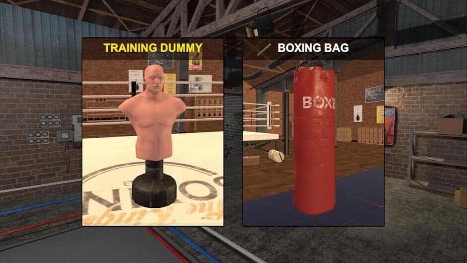 Boxer screenshot 2