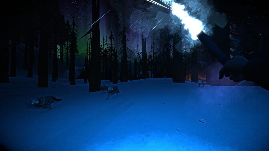 The Long Dark: Wintermute screenshot 6