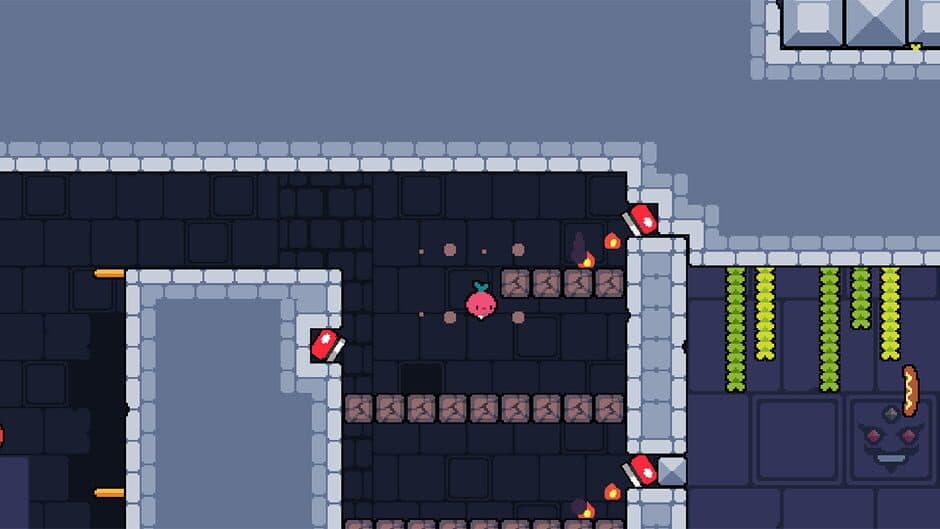 Daily Dadish screenshot 5