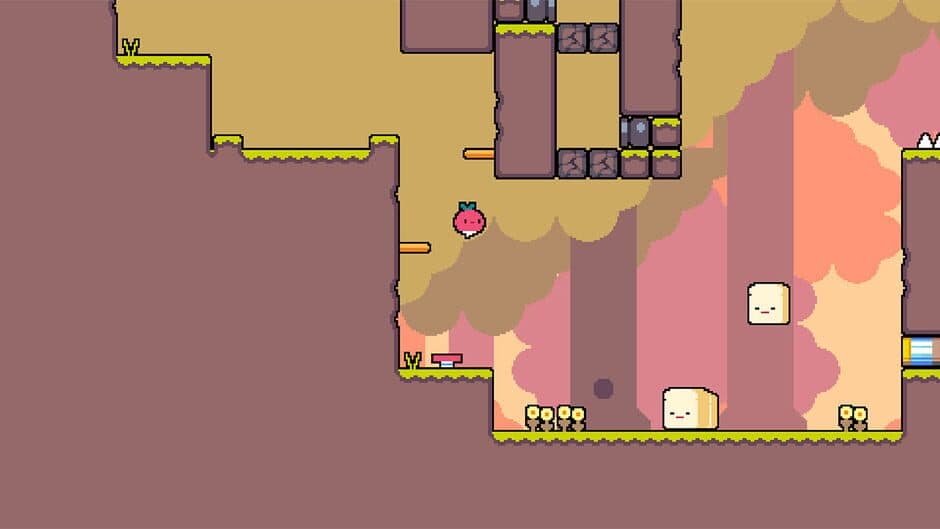 Daily Dadish screenshot 6