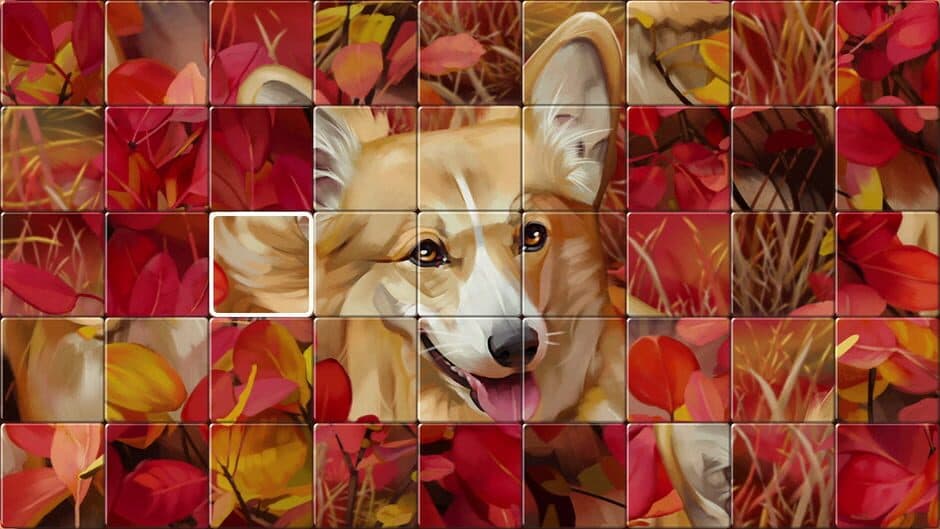 Swap Puzzles screenshot 5