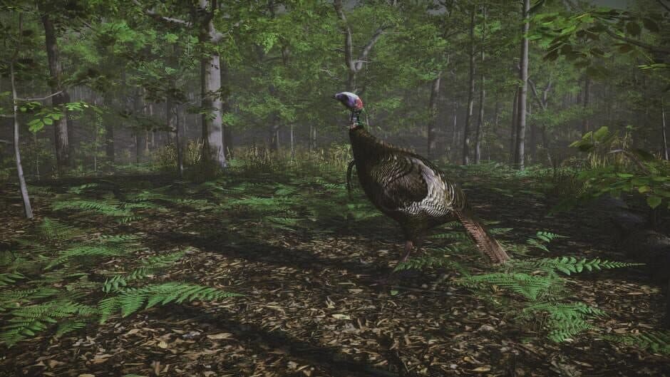 Pro Turkey Hunting screenshot 5
