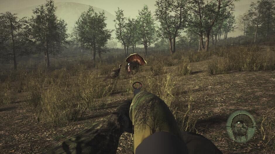 Pro Turkey Hunting screenshot 3