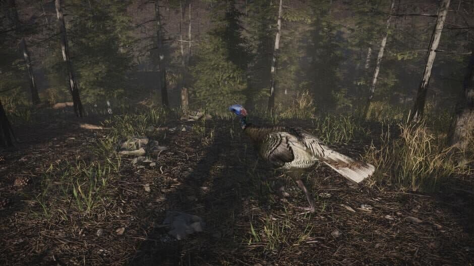 Pro Turkey Hunting screenshot 6