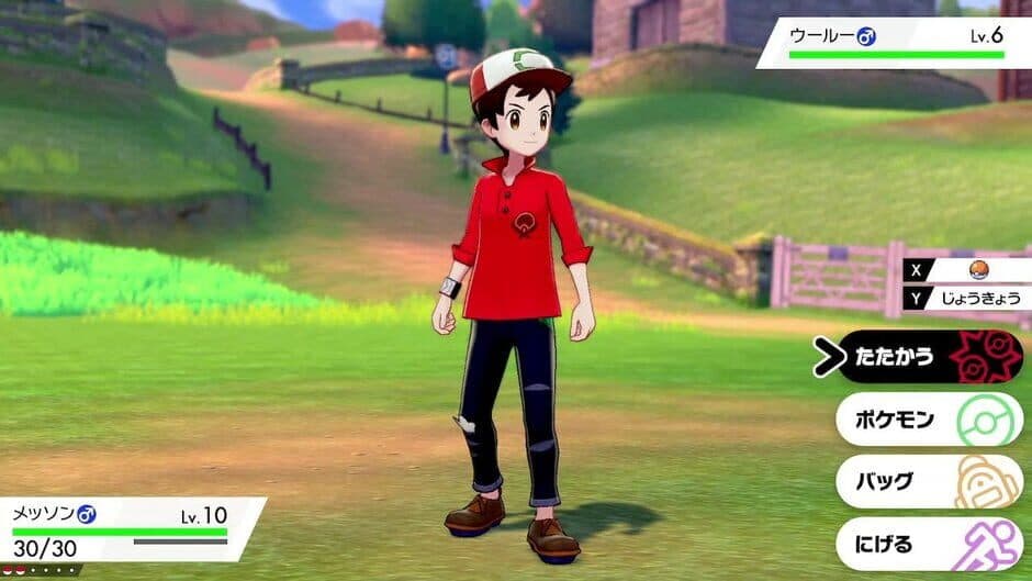 Pokémon Sword + Expansion Pass screenshot 4