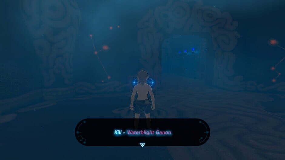 The Legend of Zelda: Breath of the Wild Randomizer screenshot 6